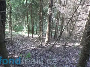 Prodej pozemku, Dolní Dobrouč, 4634 m2