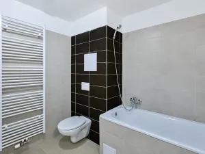 Pronájem bytu 1+kk, Plzeň, Rejskova, 38 m2