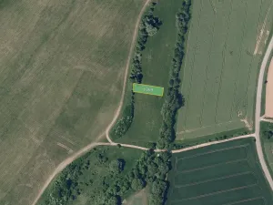 Prodej pole, Pacetluky, 6457 m2