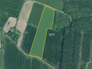 Prodej pole, Slabčice, 77267 m2