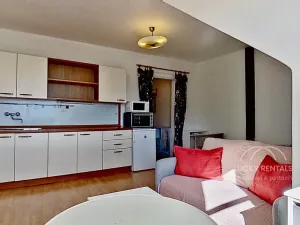 Pronájem bytu 1+kk, Praha - Braník, Branická, 33 m2
