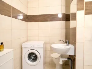 Prodej bytu 1+1, Frýdek-Místek, Anenská, 35 m2