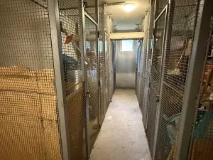 Prodej bytu 3+1, Olomouc - Nová Ulice, Brněnská, 76 m2