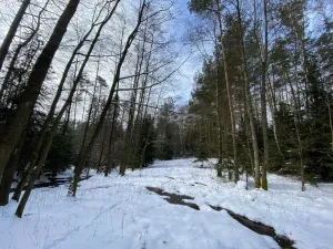 Prodej pozemku, Volfířov - Brandlín, 5958 m2