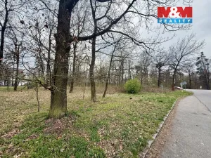 Prodej lesa, Býšť, 3807 m2