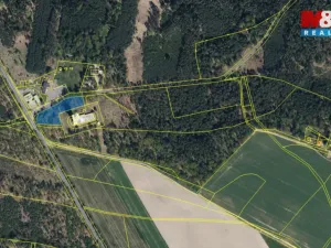 Prodej lesa, Býšť, 3807 m2