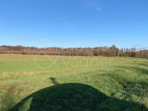 Prodej pozemku pro bydlení, Heřmanův Městec, Havlíčkova, 5663 m2