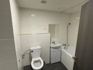 Pronájem bytu 3+1, Most, Brněnská, 69 m2