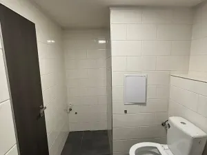 Pronájem bytu 3+1, Most, Brněnská, 69 m2