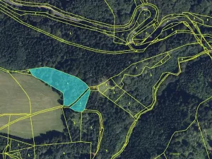 Prodej lesa, Zborov, 6700 m2