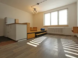 Pronájem bytu 1+kk, Brno, Rašelinová, 33 m2