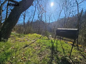 Prodej chaty, Březová-Oleško, 44 m2