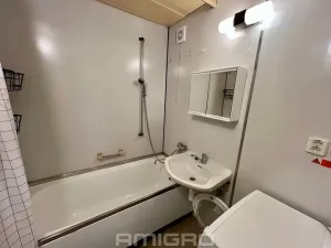 Prodej bytu 2+kk, Brno, Labská, 45 m2