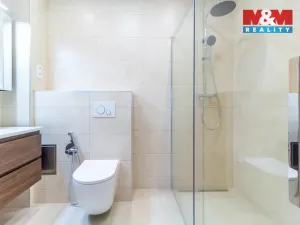 Pronájem bytu 3+1, Praha - Nové Město, Masarykovo nábřeží, 110 m2