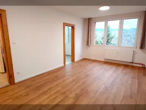 Pronájem bytu 2+1, Český Krumlov, Sídliště Plešivec, 58 m2