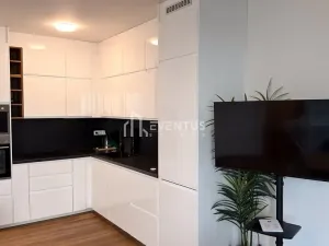Pronájem bytu 2+kk, Praha - Libeň, Menclova, 58 m2