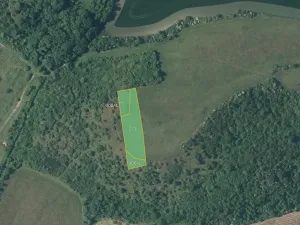 Prodej louky, Děčany, 2924 m2