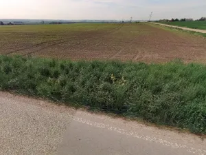 Prodej pole, Dobrovice, 4752 m2