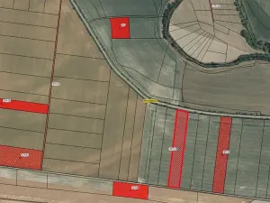 Prodej pole, Kostomlaty nad Labem, 9904 m2