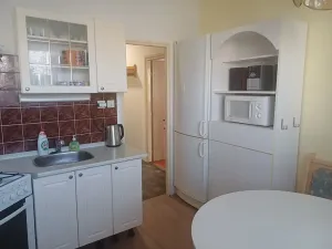 Pronájem bytu 3+1, Brno, Renneská třída, 72 m2