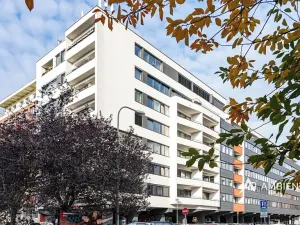 Pronájem bytu 1+kk, Brno, Mezírka, 42 m2