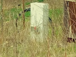 Prodej zahrady, Domažlice, 647 m2