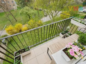 Prodej bytu 3+kk, Praha - Žižkov, Hartigova, 53 m2