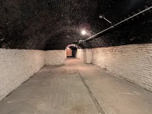 Prodej činžovního domu, Brno, Hlinky, 1140 m2