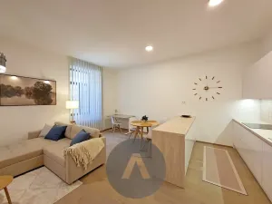 Pronájem bytu 2+kk, Brno, Leitnerova, 60 m2