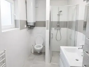 Prodej vícegeneračního domu, Brno, Fryčajova, 350 m2