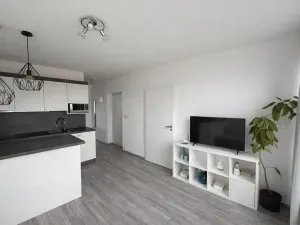 Prodej bytu 3+kk, České Budějovice, Skuherského, 53 m2