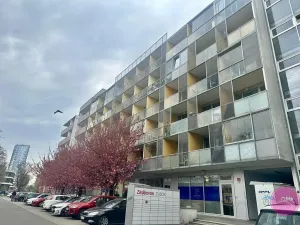 Pronájem bytu 1+kk, Olomouc, Kavaleristů, 31 m2