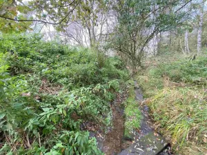 Prodej pozemku, Horní Dvořiště, 10042 m2