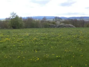 Prodej pozemku, Staré Město - Nová Véska, 10063 m2