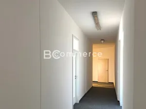 Pronájem kanceláře, Brno, Cejl, 103 m2