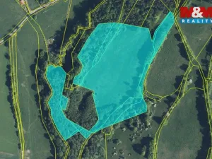 Prodej louky, Stružnice, 55278 m2