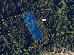 Dražba lesa, Návsí, 3528 m2