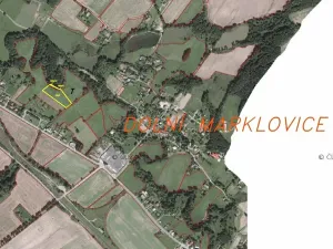 Dražba louky, Petrovice u Karviné, 6981 m2