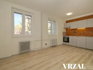 Pronájem bytu 3+kk, Plzeň, Francouzská třída, 57 m2