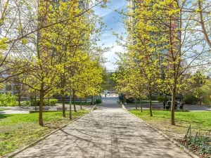 Prodej bytu 2+kk, Praha - Strašnice, Názovská, 48 m2