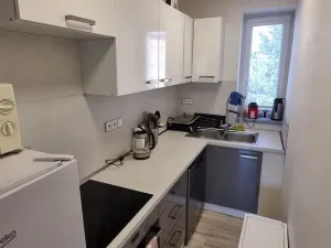 Pronájem bytu 3+1, Břeclav, Jaselská, 57 m2