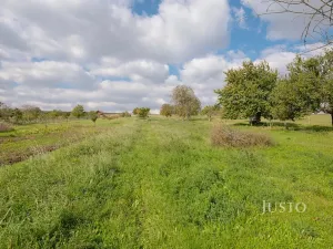 Prodej pozemku pro bydlení, Těmice, 2331 m2