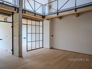 Prodej bytu 4+kk, Praha - Vysočany, Kolbenova, 176 m2