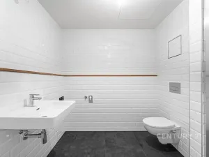 Prodej bytu 1+kk, Praha - Vysočany, Kolbenova, 42 m2