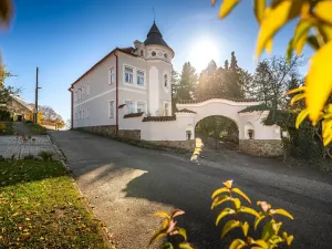 Prodej vily, Zliv, Klostermannova, 800 m2