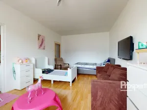 Prodej bytu 2+1, Ústí nad Labem - Krásné Březno, Družstevní, 63 m2