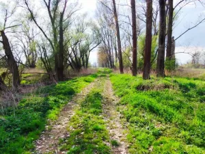 Prodej pozemku, Hořín - Vrbno, 788 m2