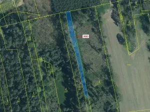 Dražba lesa, Koloveč, 703 m2