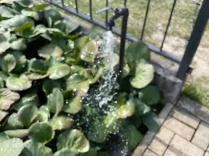 Pronájem zahrady, Praha - Dubeč, Dubečské Horky, 300 m2