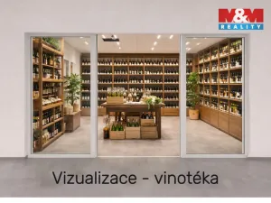 Pronájem obchodního prostoru, Benešov, Vnoučkova, 23 m2